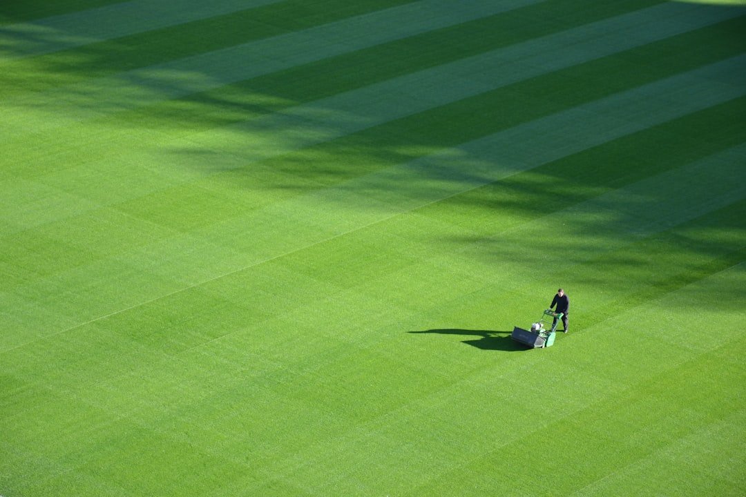 Duran Lawn Mowing Services